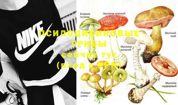кокаин Алексеевка