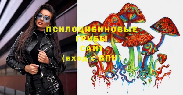 амф Алзамай