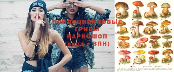 кокаин Алексеевка