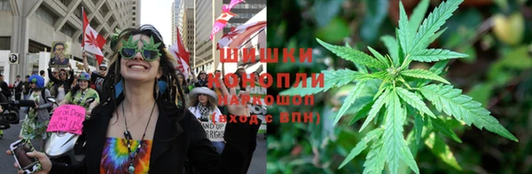 амф Алзамай